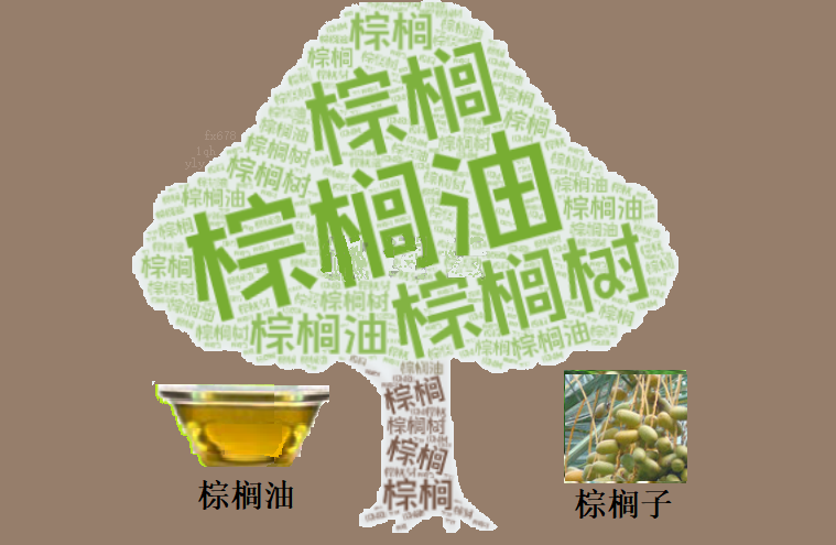 美国生柴新政与产量缺口，棕榈油市场走势分析